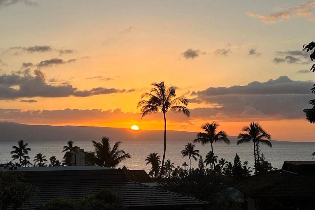 Photo of Others in Kaanapali