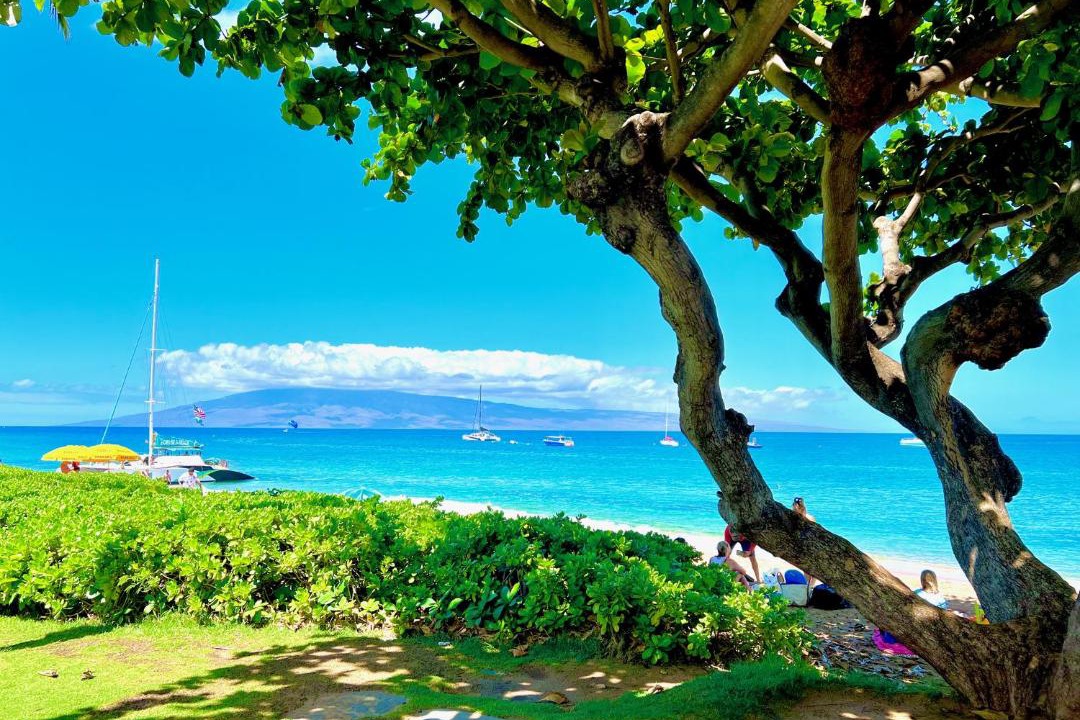 Photo of Others in Kaanapali