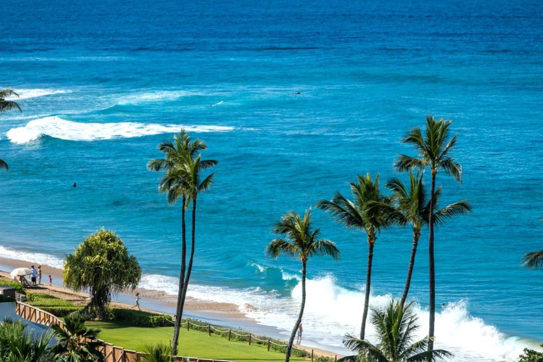 Photo of Others in Kaanapali