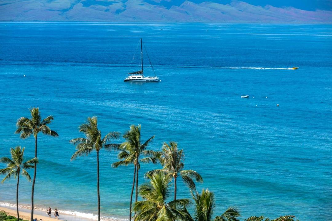 Photo of Others in Kaanapali