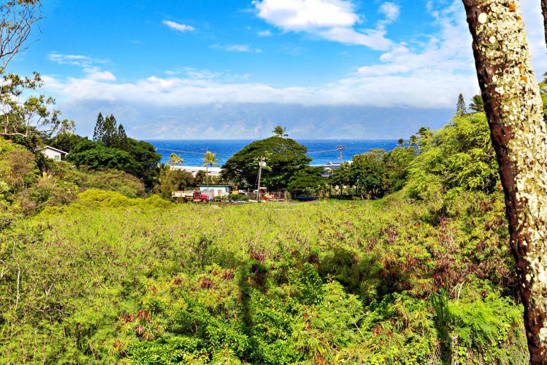 Photo of Others in Napili