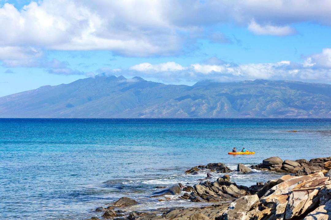 Photo of Others in Napili