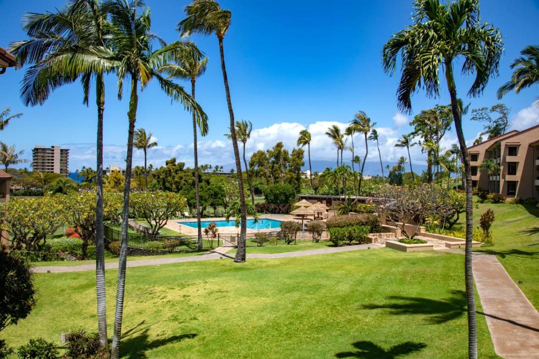 Photo of Others in Kaanapali