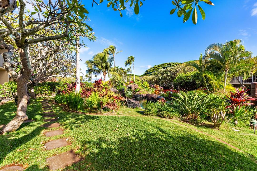 Photo of Others in Napili