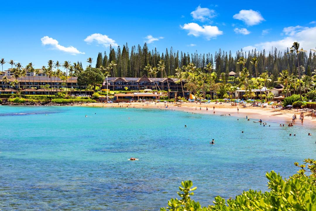 Photo of Others in Napili