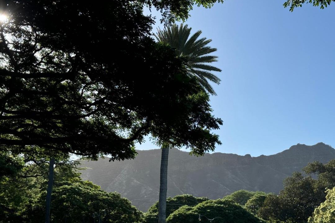 Photo of Others in Diamond Head - Kapahulu - St. Louis