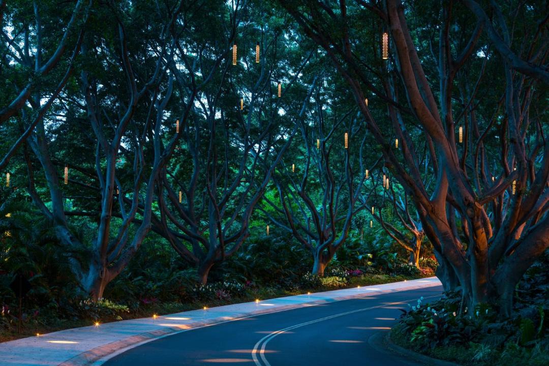 Photo of Others in Wailea
