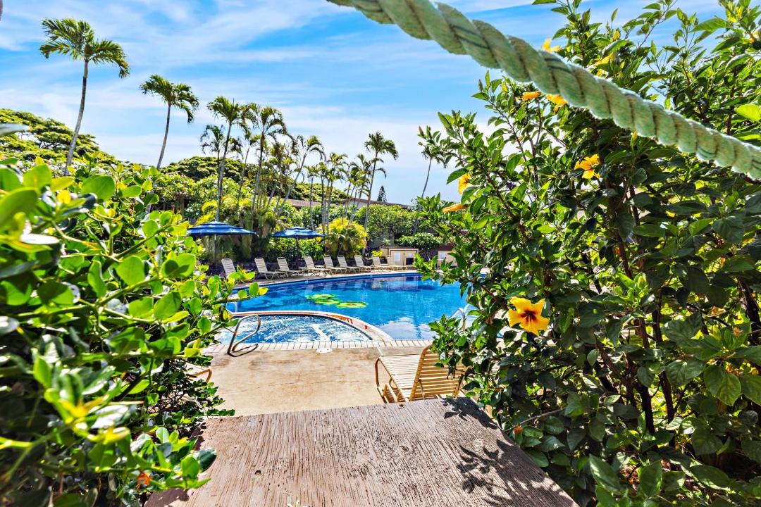 Photo of Outdoor in Napili