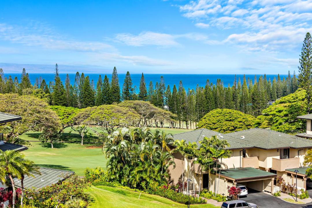 Photo of Others in Kapalua