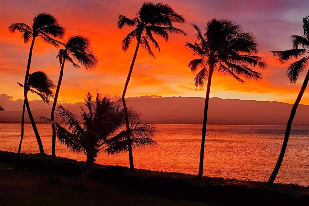 Photo of Others in Maalaea
