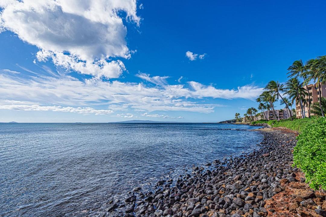 Photo of Others in Maalaea