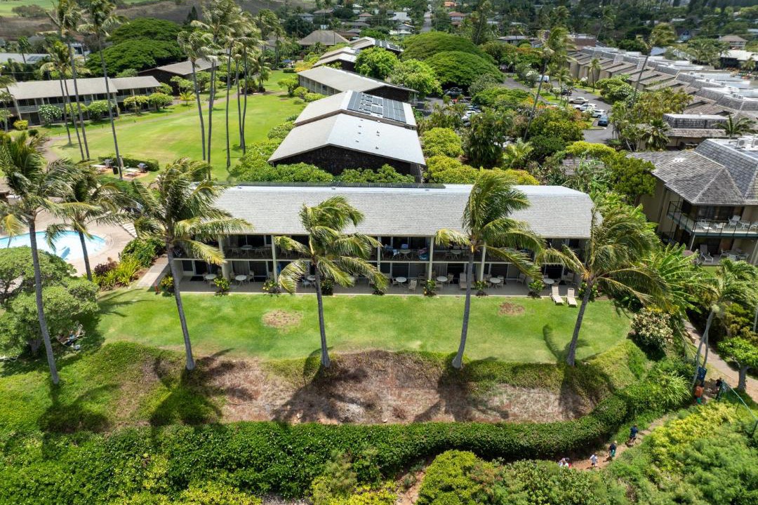 Photo of Others in Napili