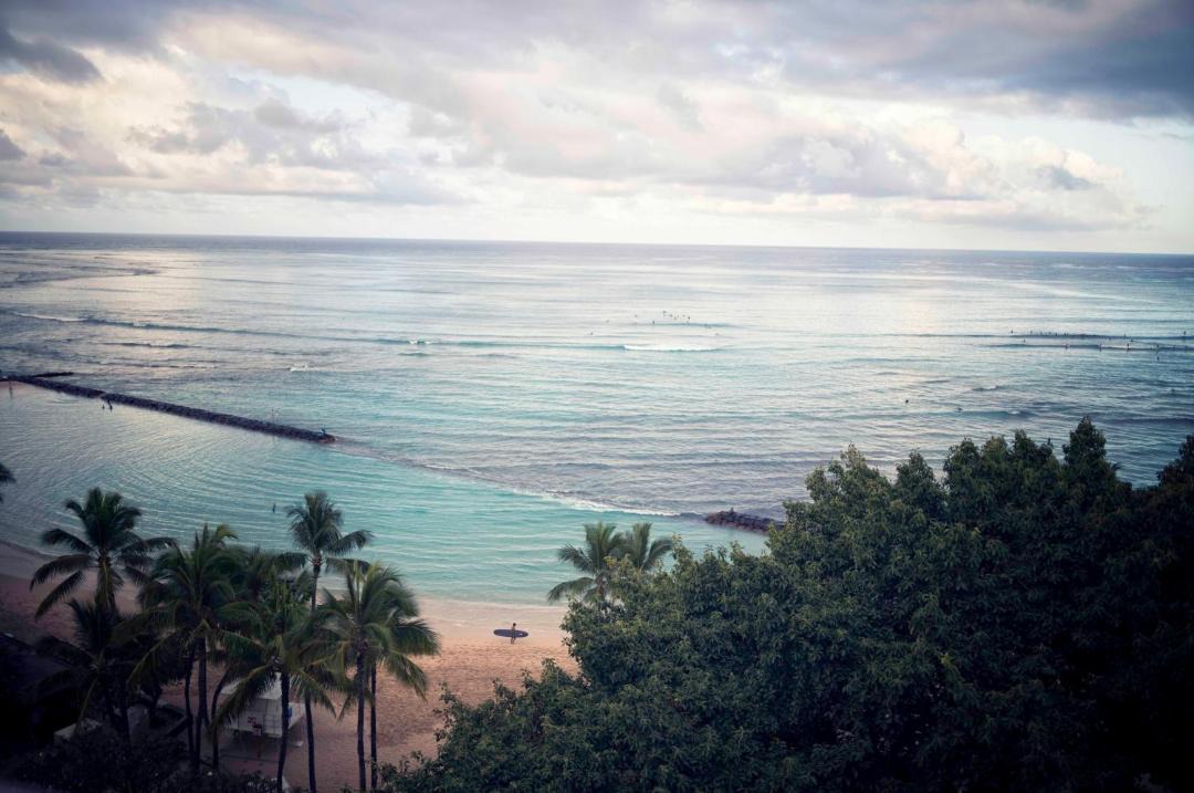 Photo of Others in Waikiki