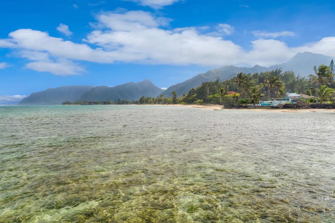 Photo of Others in Hauula