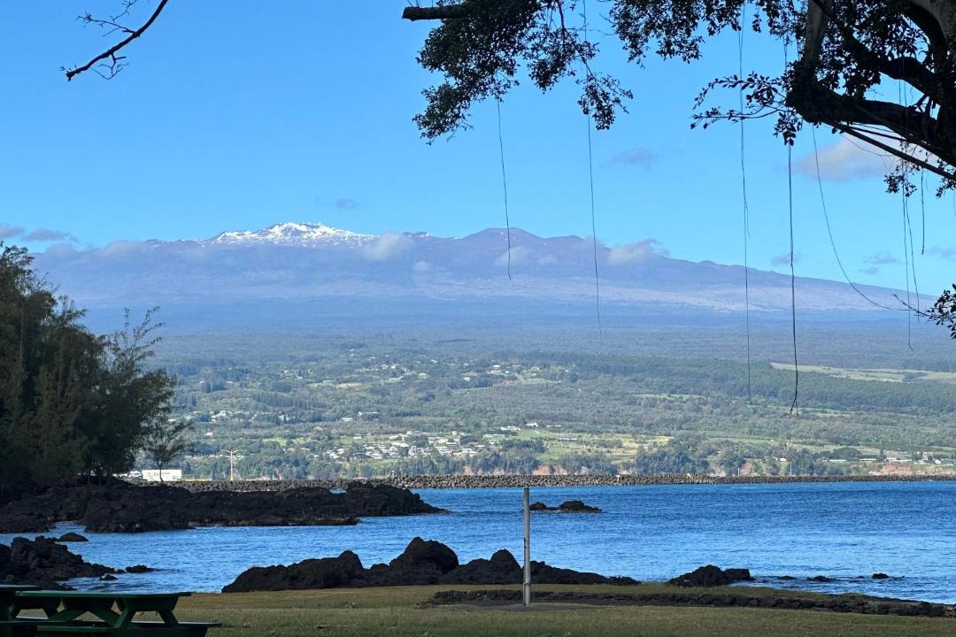 Photo of Others in Hilo