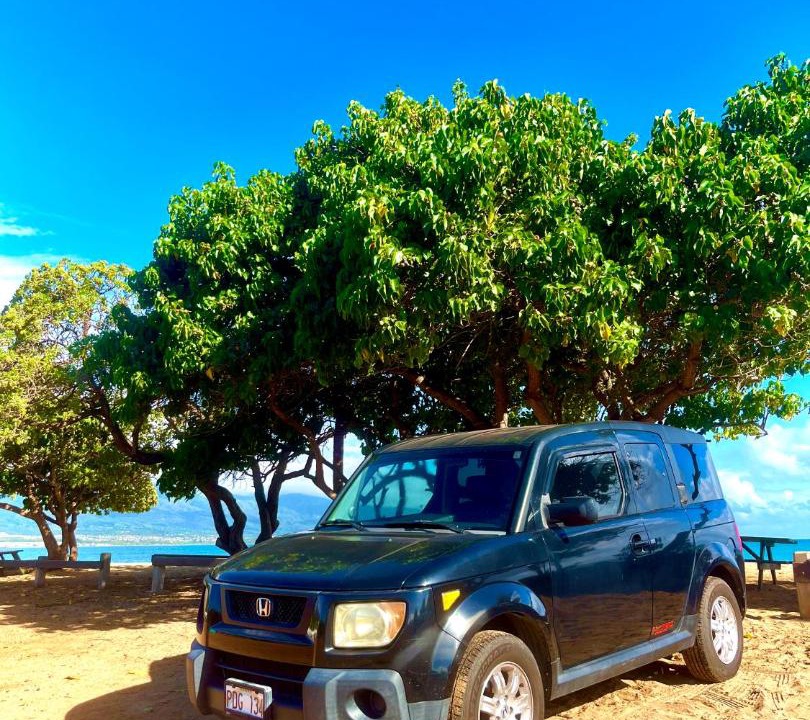 Photo of Others in Kihei