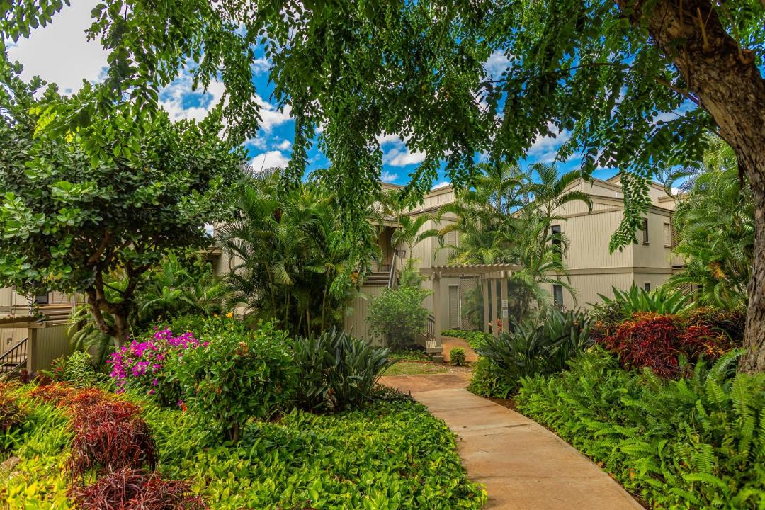 Photo of Others in Wailea