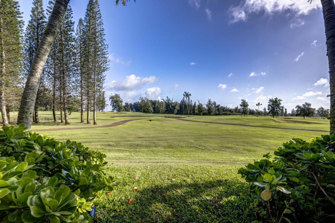 Photo of Others in Kahuku