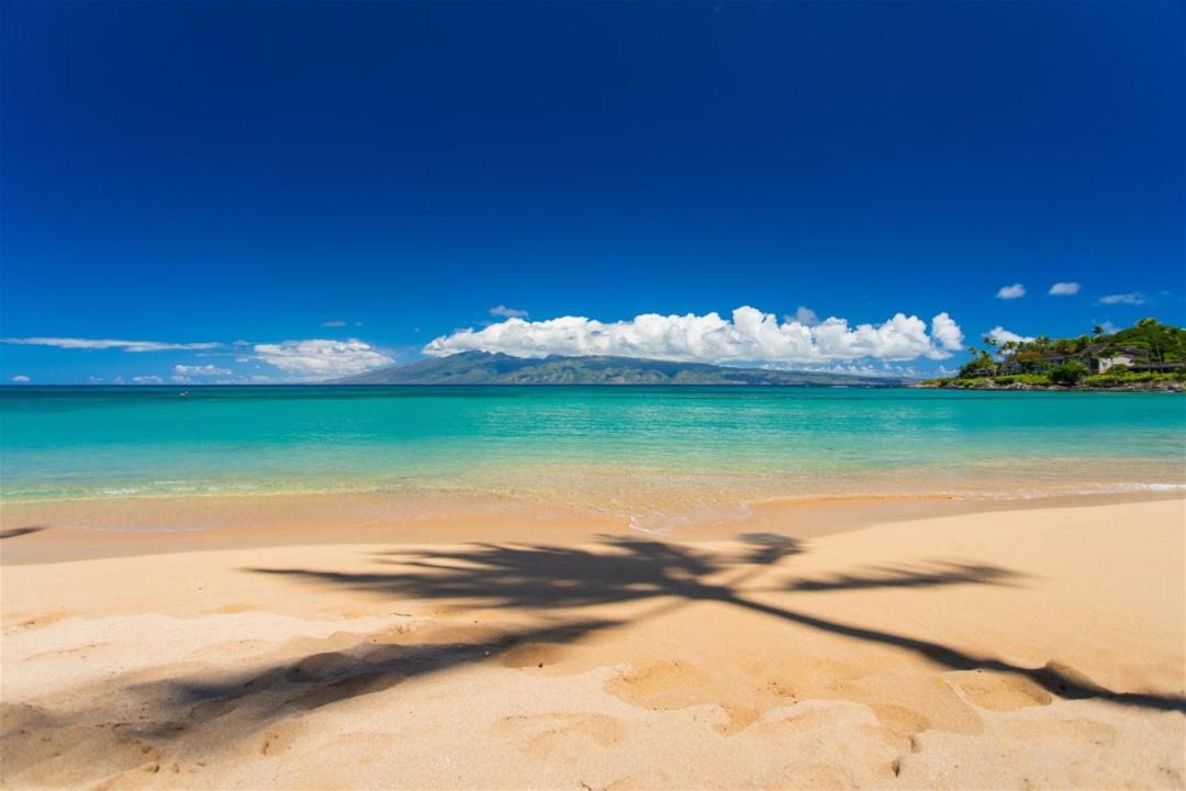 Photo of Others in Kapalua