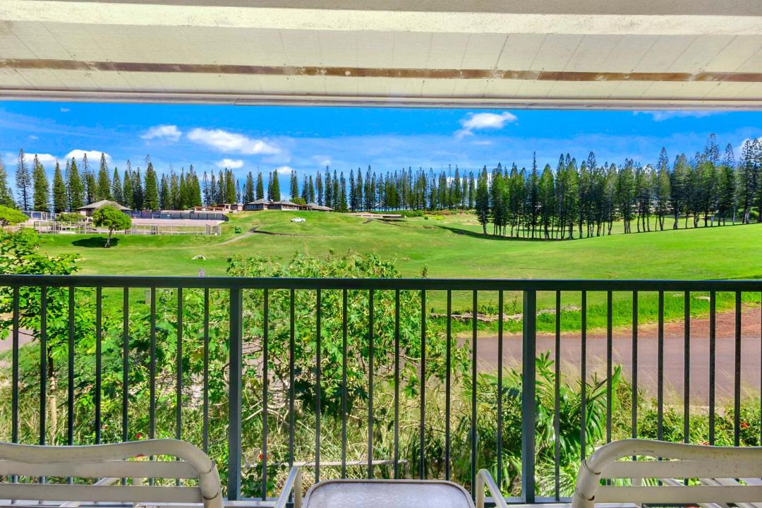 Photo of Others in Napili