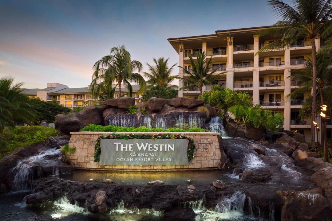 Photo of Others in Kaanapali
