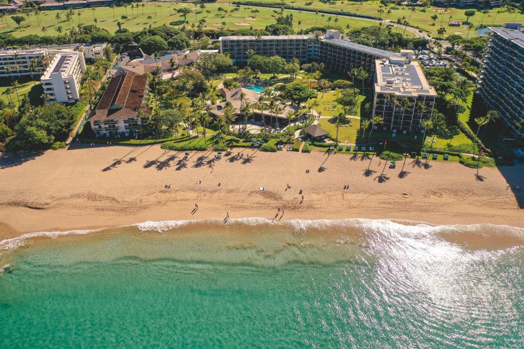 Photo of Others in Kaanapali