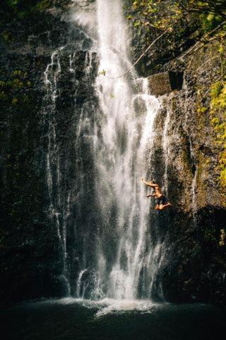 Photo of Others in Wailuku