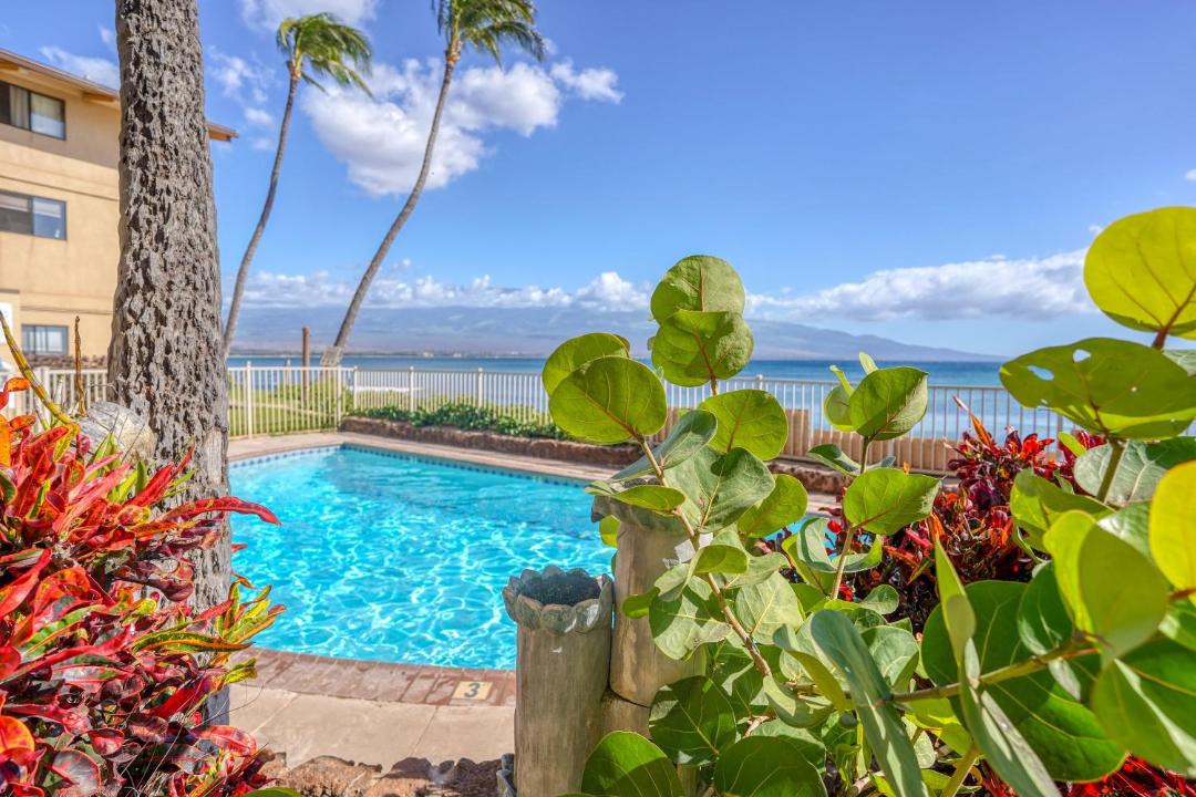 Photo of Outdoor in Maalaea