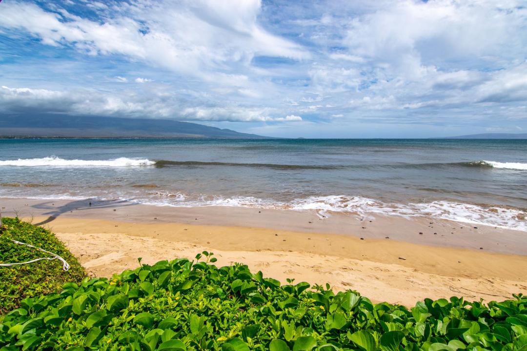 Photo of Others in Maalaea