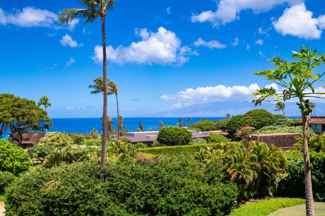 Photo of Others in Kaanapali
