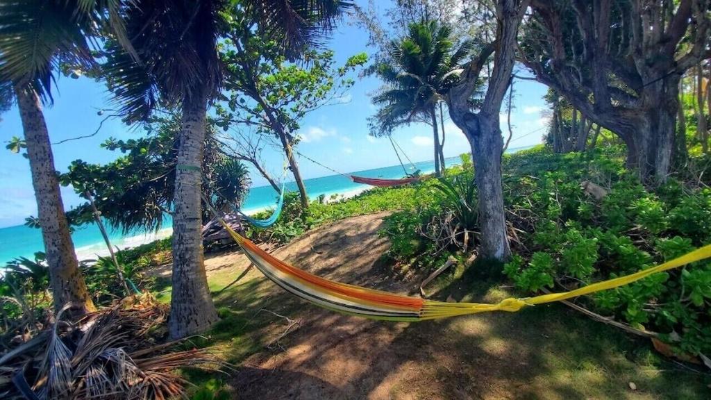 Photo of Outdoor in Kailua