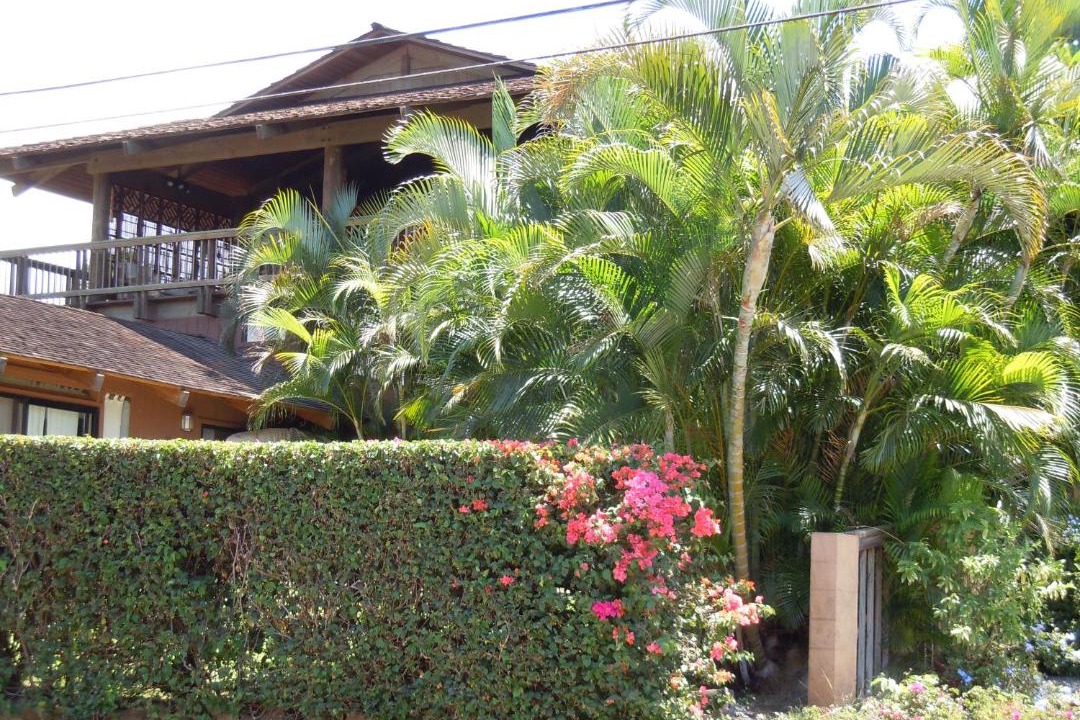 Photo of Others in Kihei