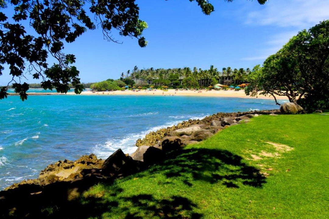 Photo of Others in Kahuku