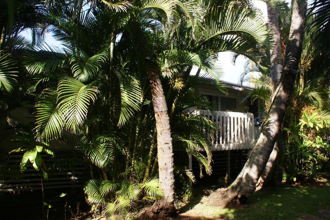 Photo of Others in Pupukea