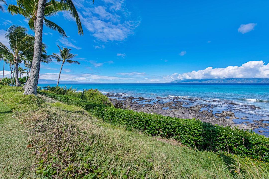 Photo of Outdoor in Napili
