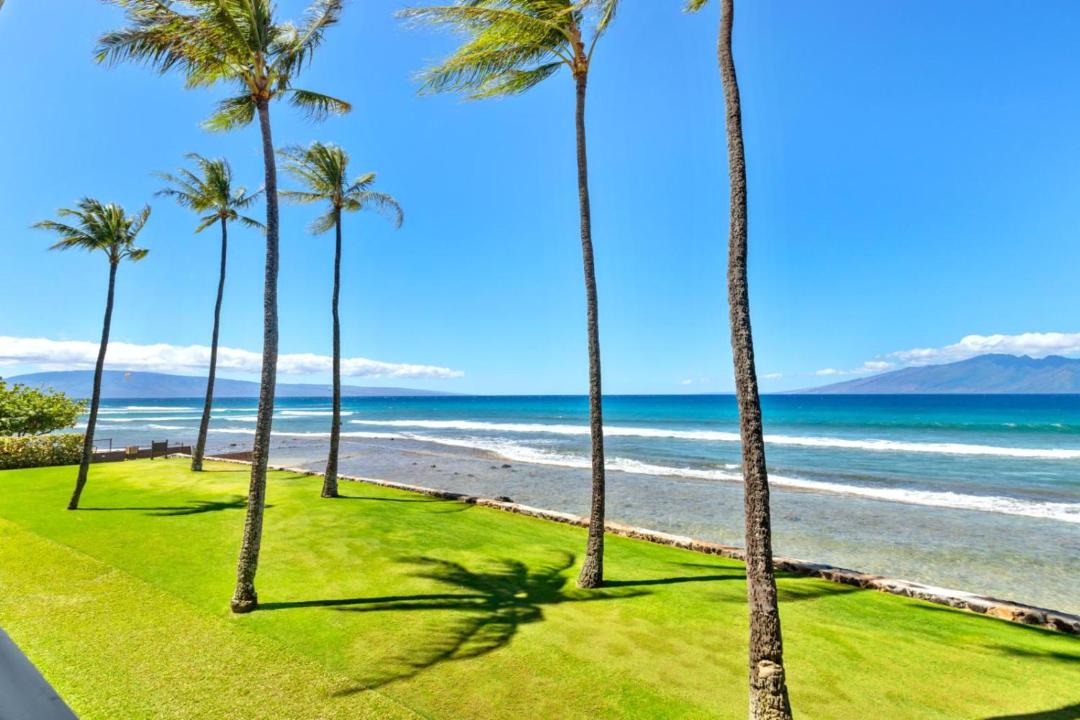 Photo of Outdoor in Napili