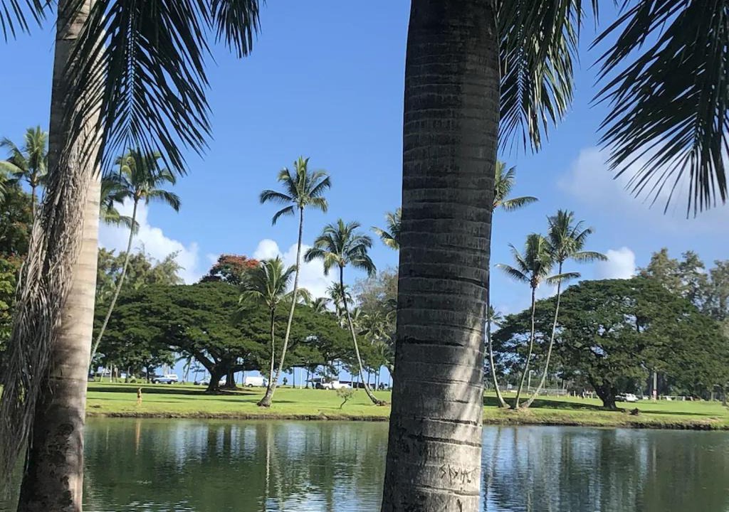 Photo of Outdoor in Hilo