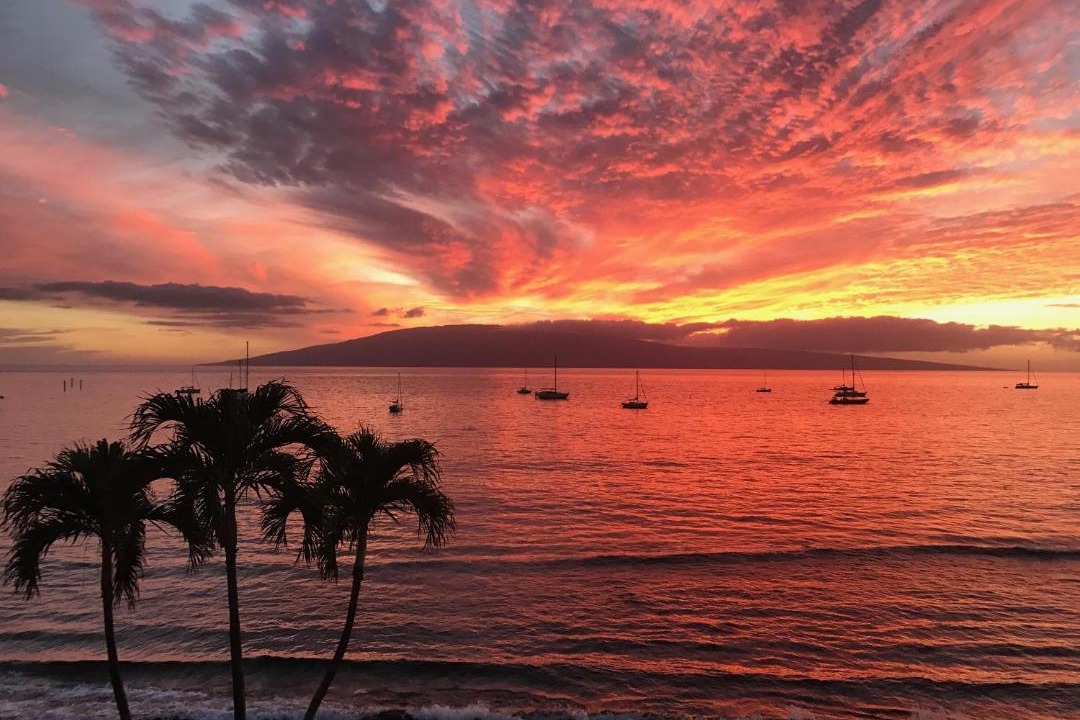 Photo of Others in Historic Lahaina Front Street