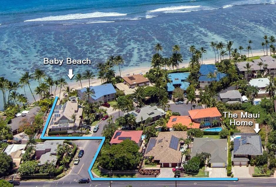 Photo of Others in Historic Lahaina Front Street