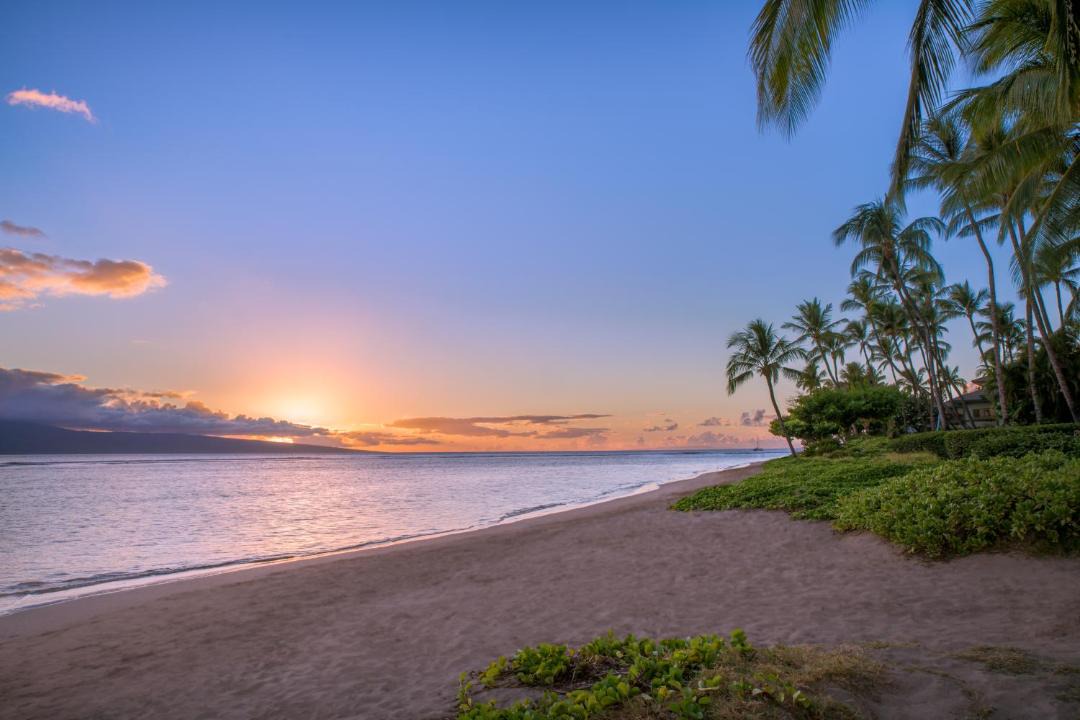 Photo of Outdoor in Historic Lahaina Front Street