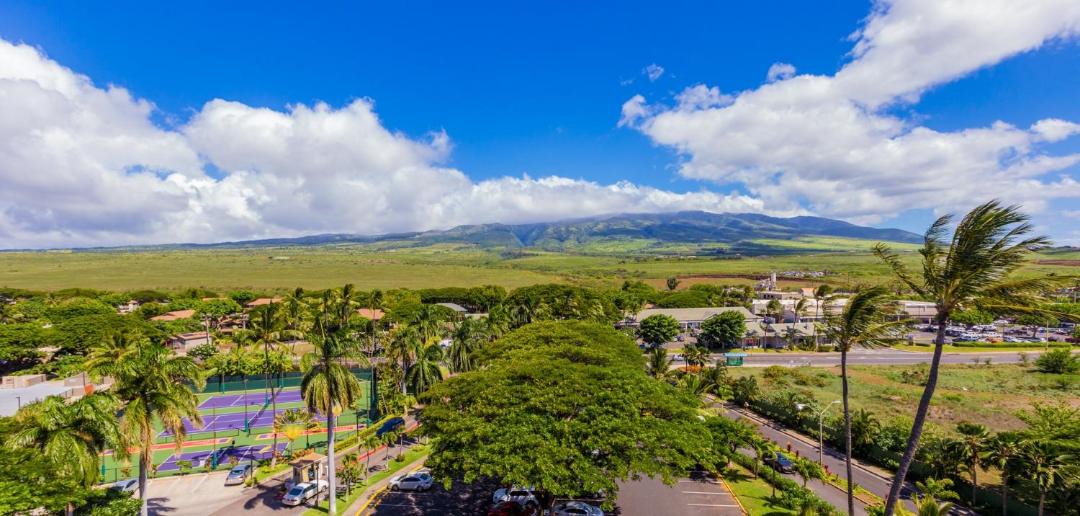 Photo of Others in Lahaina