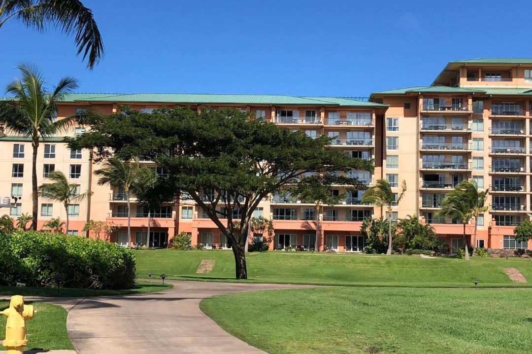 Photo of Others in Kaanapali