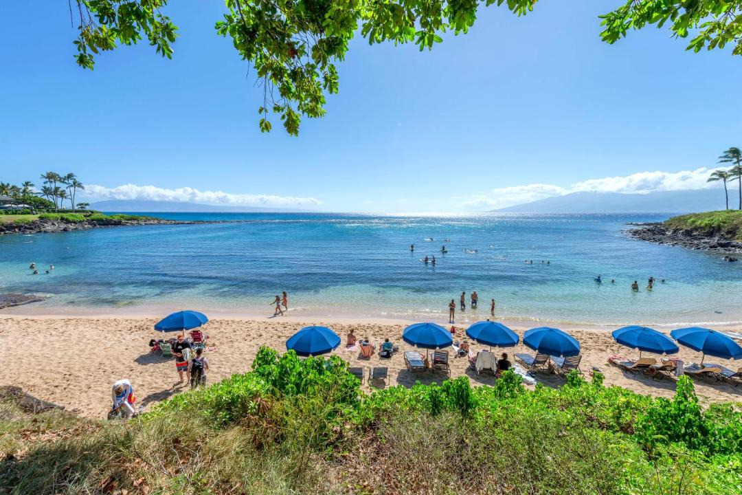 Photo of Others in Kapalua