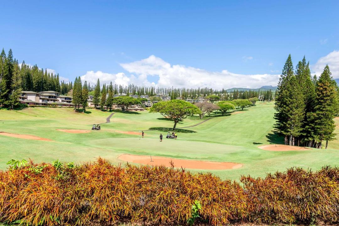 Photo of Others in Kapalua
