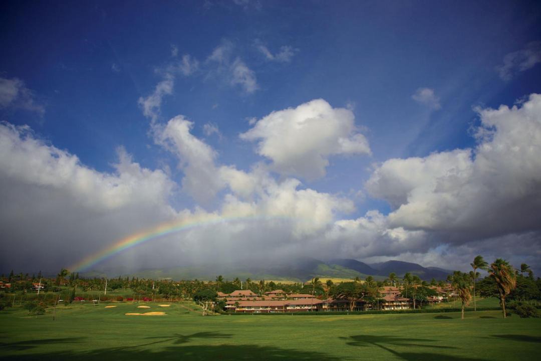 Photo of Others in Kaanapali