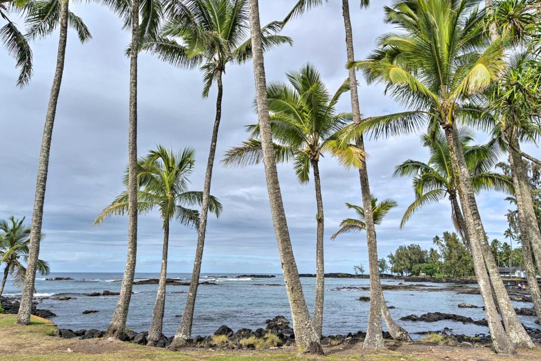 Photo of Others in Hilo