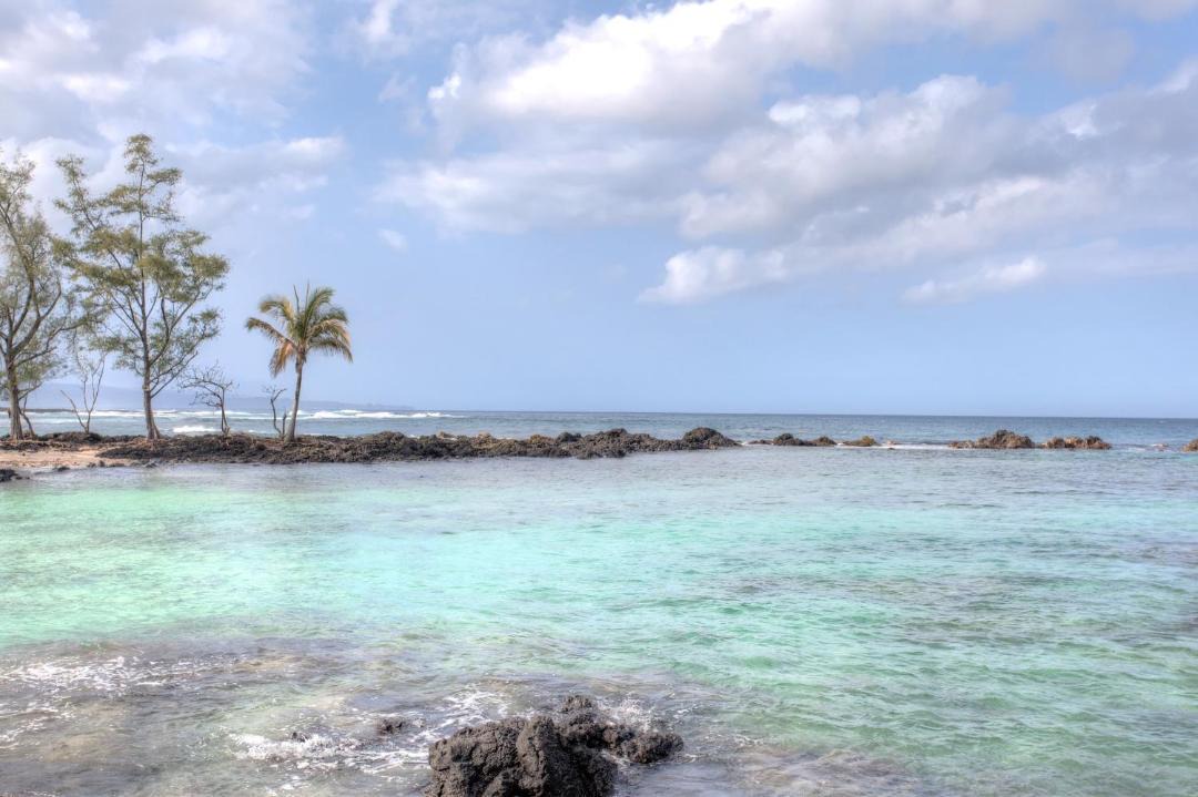 Photo of Others in Hilo