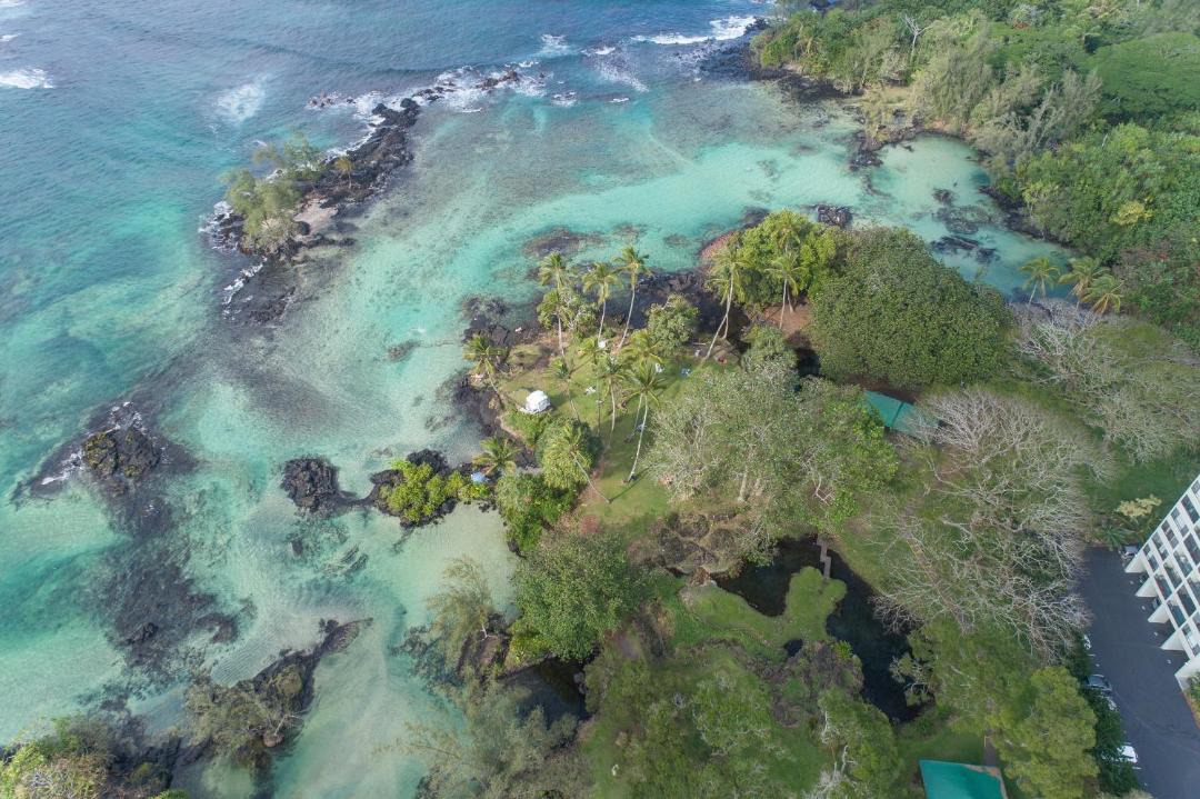 Photo of Others in Hilo
