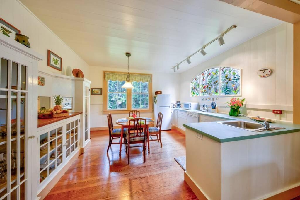 Photo of Kitchen in Volcano