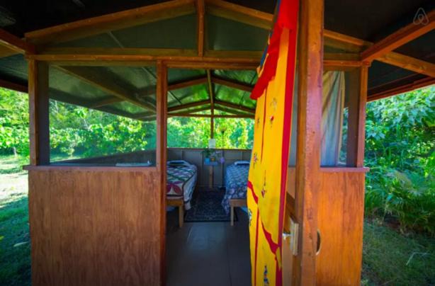 Photo of Others in Kapoho